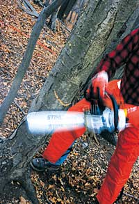 Consider appropriate safety gear part of the cost of a chain saw, not accessories, then learn how to use the saw safely.