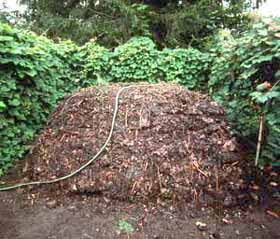 Compost piles need not be fancy or pretty.