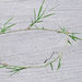 Weed info for Bermudagrass