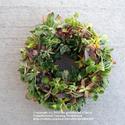 How To Make Your Own Succulent Wreath