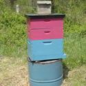 Honey Bees in the Garden:  May