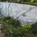 Constructing a Temporary Greenhouse