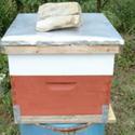 Setting Up Your Bee Yard - Setting Up the Hive