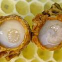 Honey Bees in the Garden: Royal Jelly a.k.a. Bee Milk