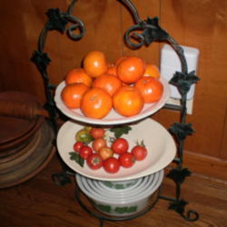 
Date: 2010-12-01
tangerines (top)