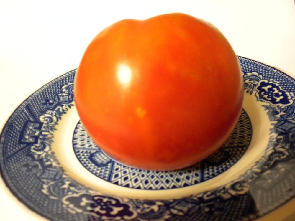 Photo of Tomato (Solanum lycopersicum 'Supersonic') uploaded by NisiNJ