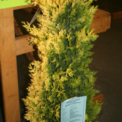 Location: At the San Francisco Flower & Landscape Show
Date: 2012-03-31