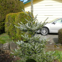 Location: Oregon
Date: winter-spring 2012