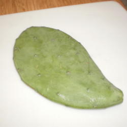 Location: Middle Tennessee
Date: 2012-04-02
Pad (or tuna) of this prickly pear