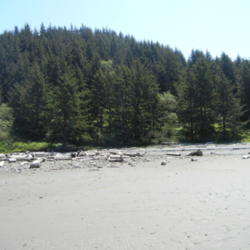 Location: Oregon Coast
Date: 2011-05-22