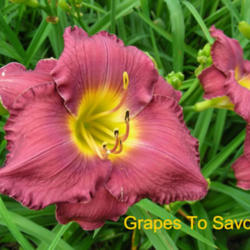 
Photo Courtesy of Crossview Gardens. Used with Permission.