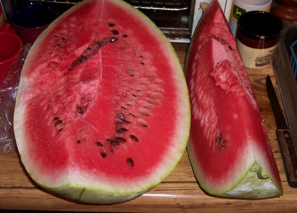 Photo of Watermelon (Citrullus lanatus 'Chris-Cross') uploaded by farmerdill