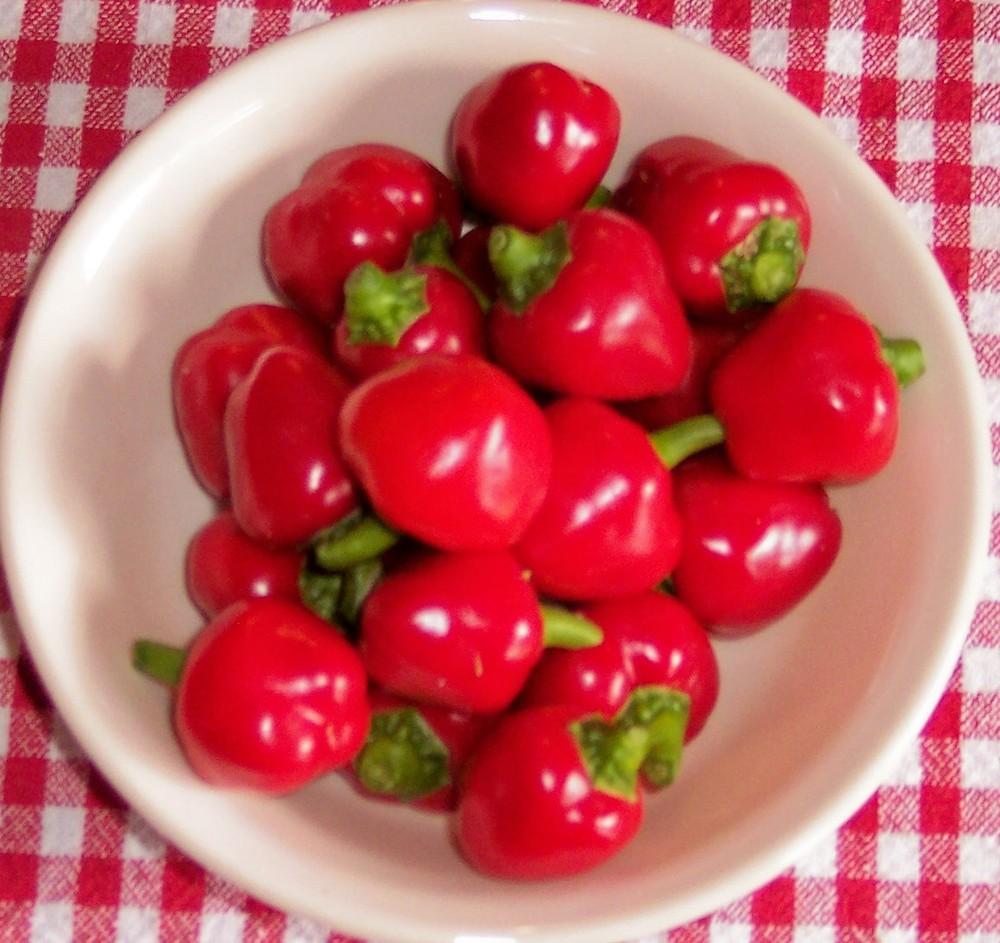 Photo of Hot Pepper (Capsicum annuum 'Piccante Calabrese') uploaded by farmerdill