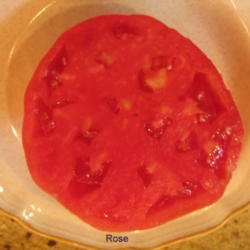 Location: Kannapolis, NC
Date: 2012-07-23
Great tomato!  I just tried it this year for the first time and i