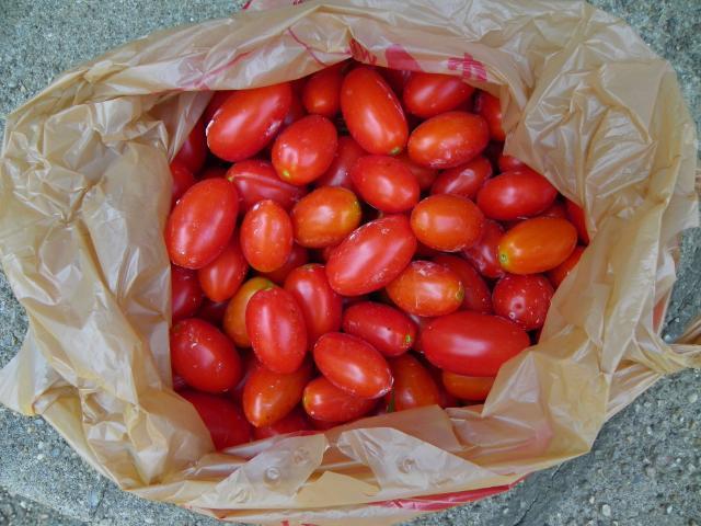 Photo of Tomato (Solanum lycopersicum 'Juliet') uploaded by Newyorkrita
