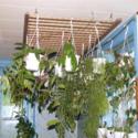 Hanging Plants:  Recycling Baby Crib Panels