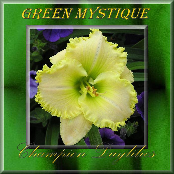 Photo of Daylily (Hemerocallis 'Green Mystique') uploaded by Joy