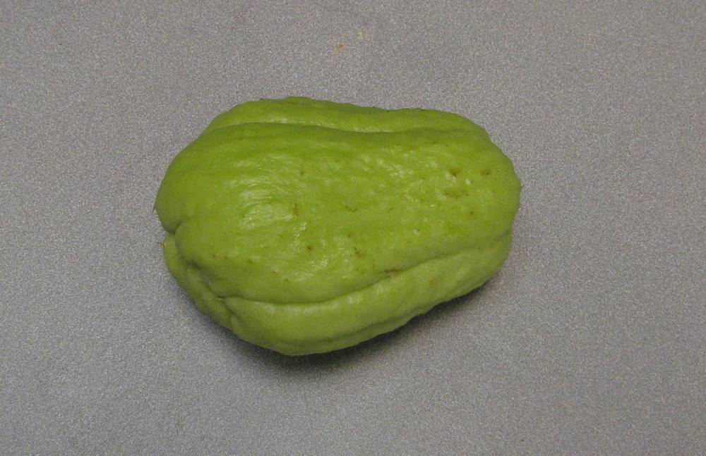 Photo of Chayote (Sechium edule) uploaded by Dutchlady1