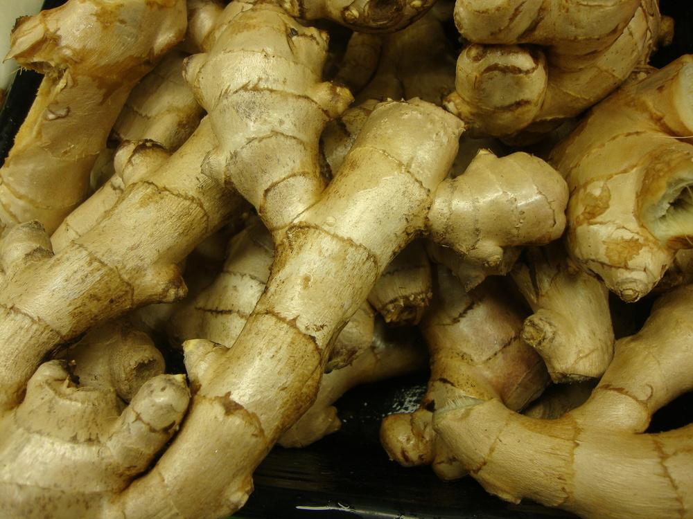 Photo of Common Ginger (Zingiber officinale) uploaded by Paul2032