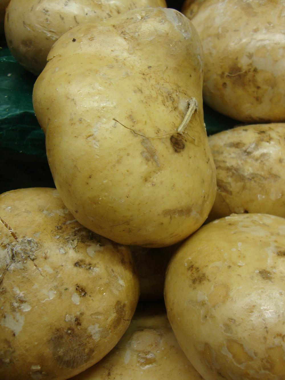 Photo of Potato (Solanum tuberosum 'Yukon Gold') uploaded by Paul2032