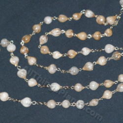Location: Lincoln, NE
Date: 2012-01-25
Job's Tears are frequently used for prayer beads and jewelry maki
