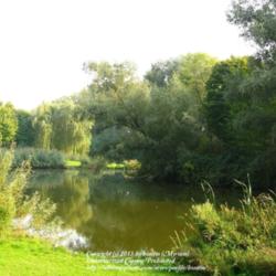 Location: Nature parc, Merelbeke, Belgium
Date: 2008-09-28