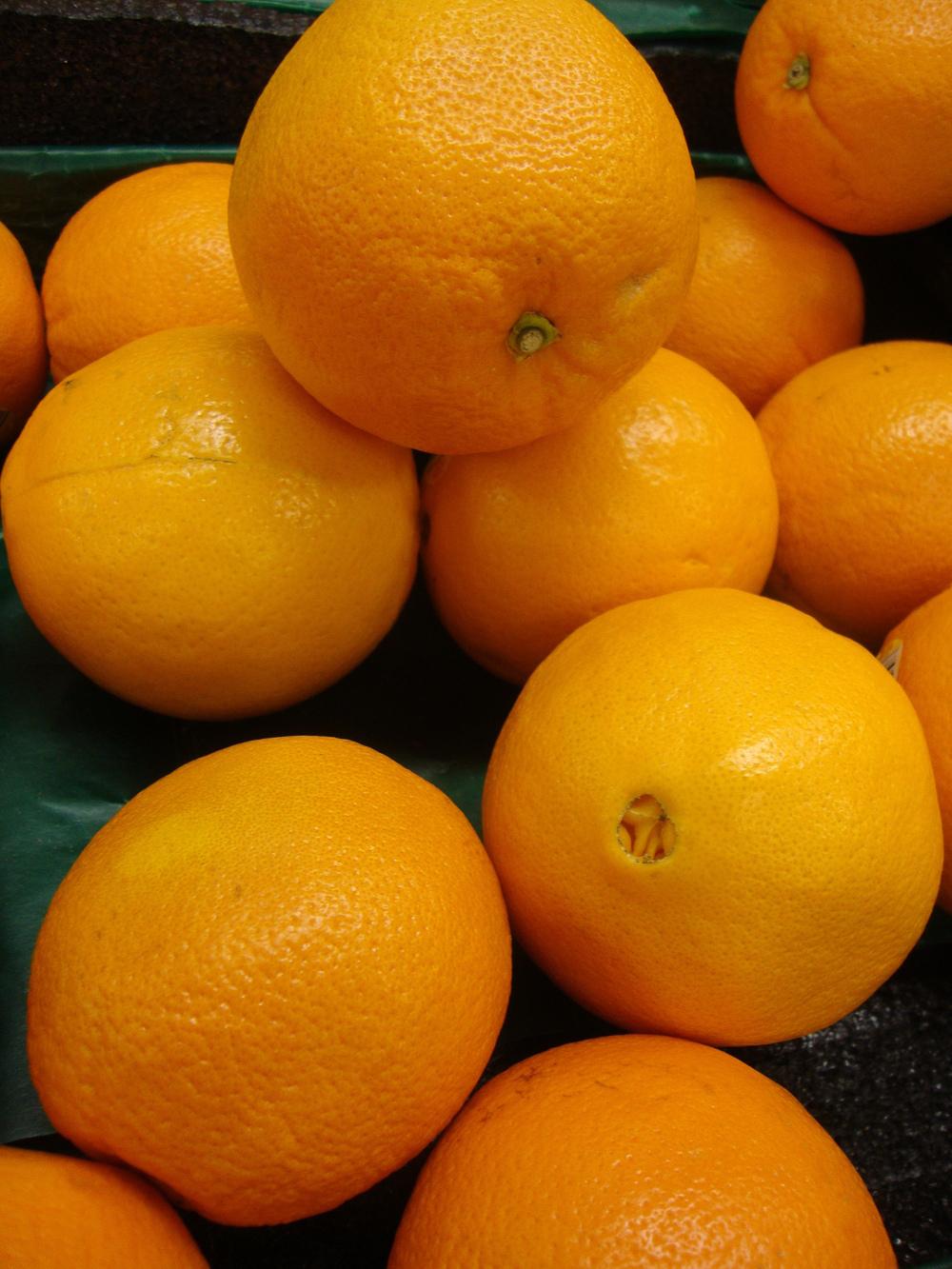 Photo of Grapefruit (Citrus x aurantium) uploaded by Paul2032