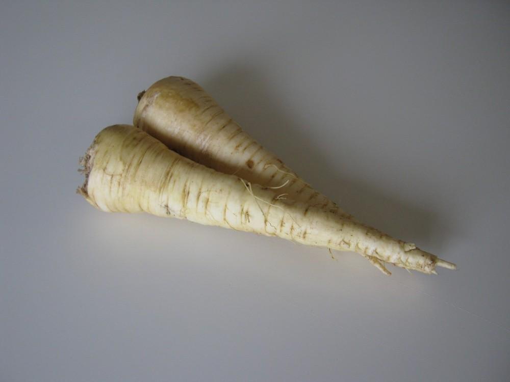 Photo of Parsnip (Pastinaca sativa 'All American') uploaded by vic