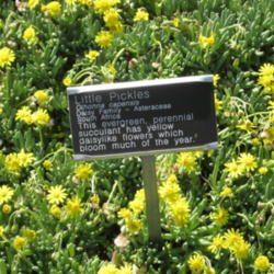 Location: San Diego Botanical Garden, Encinitas, California
Date: 2013-04-02