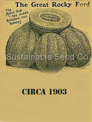 Photo of Cantaloupe (Cucumis melo 'Rocky Ford Green Flesh') uploaded by vic