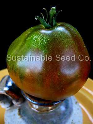 Photo of Tomato (Solanum lycopersicum 'Japanese Trifele Black') uploaded by vic