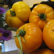 'Virgina Sweet' Heirloom tomato