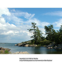 Location: Georgian Bay Island, Ontario
Date: 2005-09-30