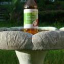 Apple Cider Vinegar in Bird Baths