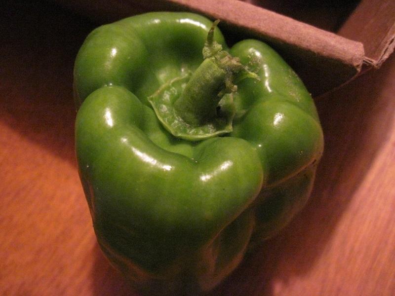 Photo of Bell Pepper (Capsicum annuum 'Ace') uploaded by robertduval14