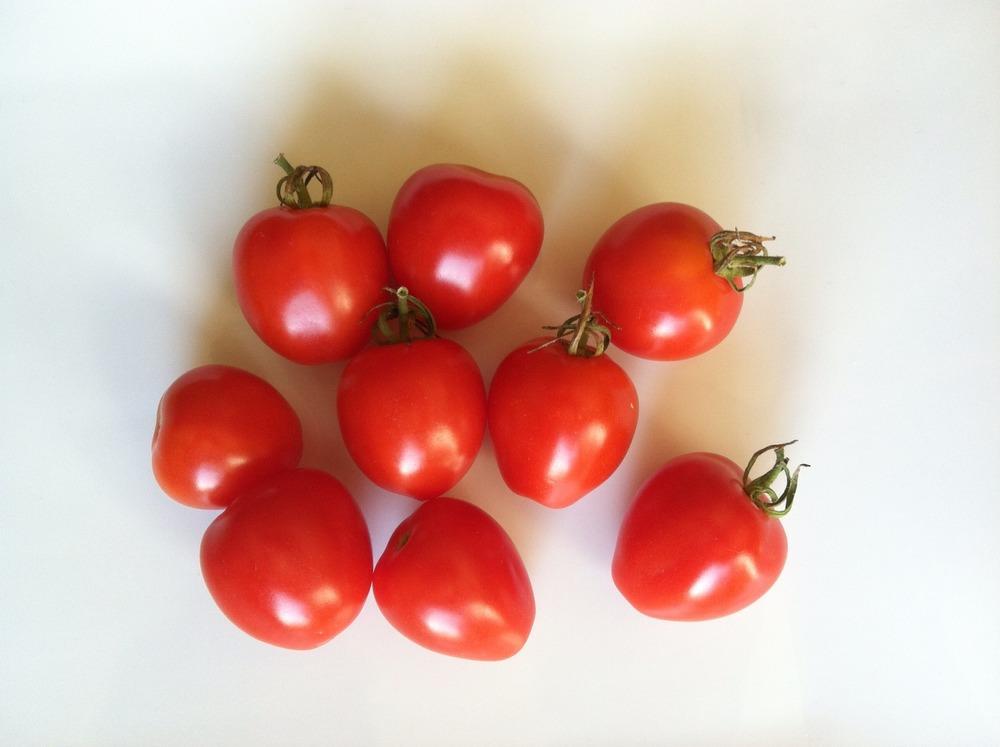 Photo of Tomato (Solanum lycopersicum 'Tomatoberry F1') uploaded by wickedelph