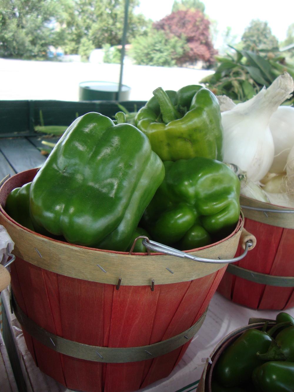 Photo of Bell Pepper (Capsicum annuum 'Lady Bell') uploaded by Paul2032