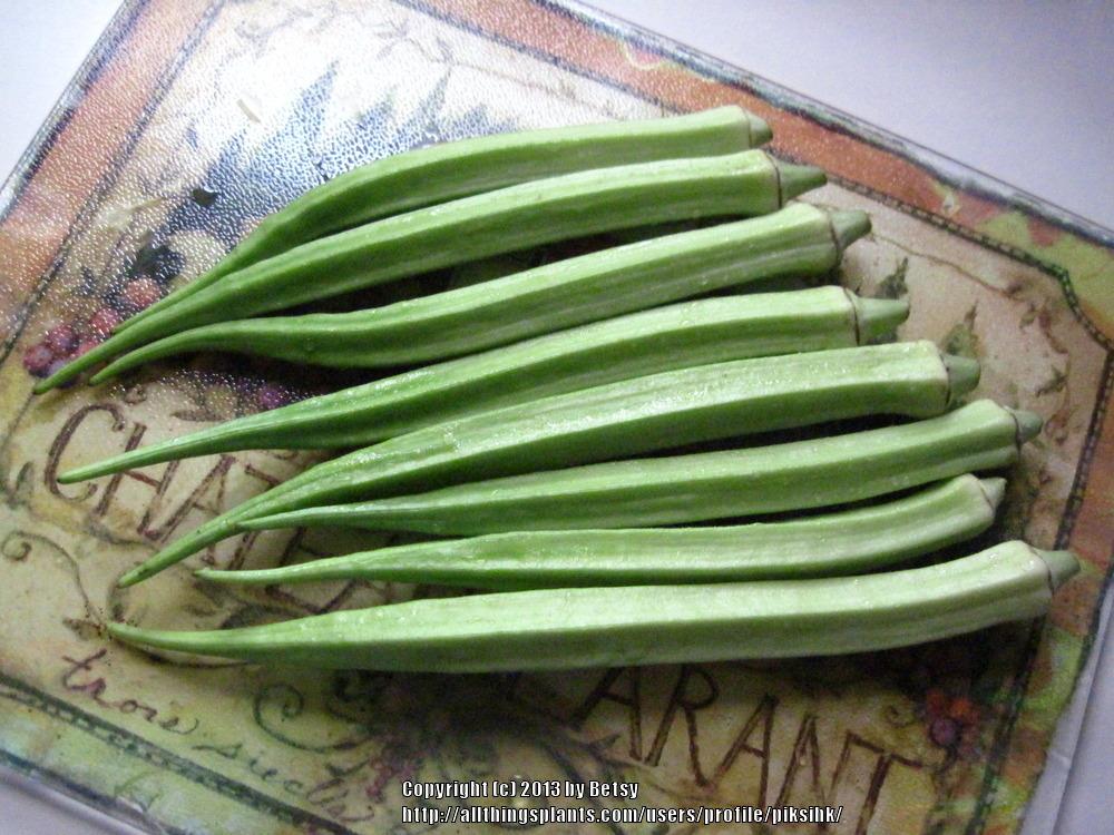 Photo of Okra (Abelmoschus esculentus) uploaded by piksihk