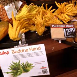 Location: At our local Raley's grocery store - San Joaquin County, CA
Date: 2013-09-12
Buddha's Hand - Pricey yet quite intriguing!