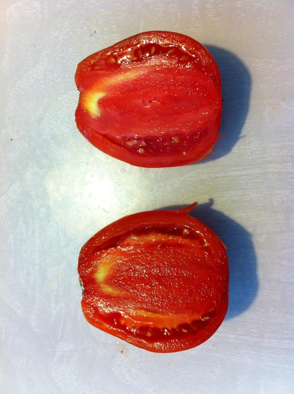 Photo of Tomato (Solanum lycopersicum 'SuperSauce Hybrid') uploaded by LauraH1