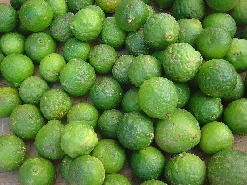 Photo of Kaffir Lime (Citrus hystrix) uploaded by robertduval14