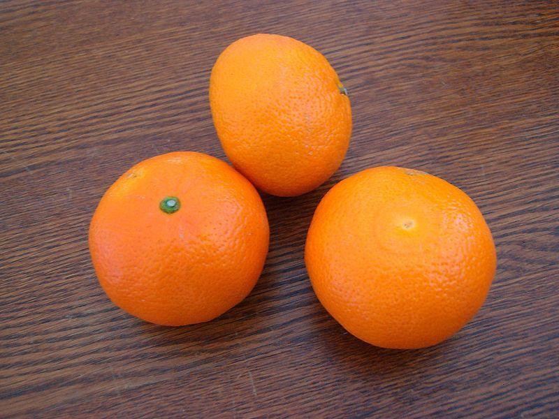 Photo of Grapefruit (Citrus x aurantium) uploaded by robertduval14