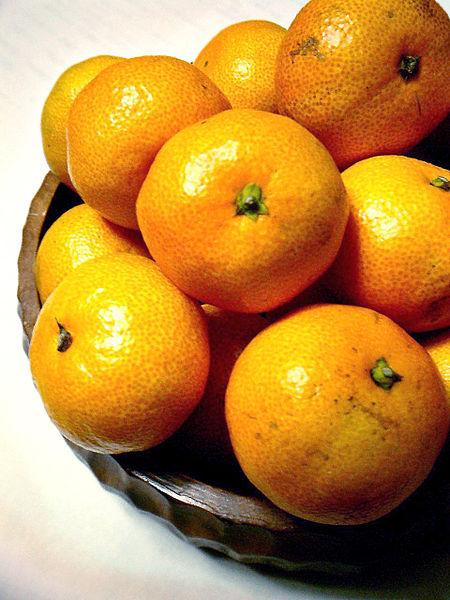 Photo of Orange (Citrus reticulata 'Satsuma') uploaded by robertduval14