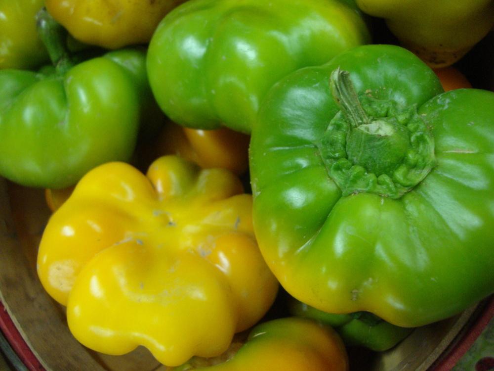Photo of Pimento Pepper (Capsicum annuum 'Sweet Pimiento') uploaded by Paul2032