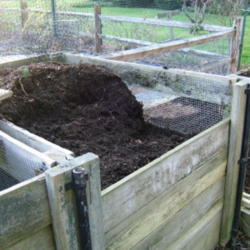 Location: Compost bins
Date: Spring
Now it's compost!