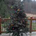 Christmas Tree for the Birds