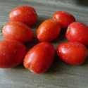 Which Paste Tomato Should You Grow?