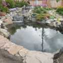 Plan Well for Your First Pond or Plan on Redoing It the Following Year