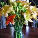 Daylily Floral Arrangements