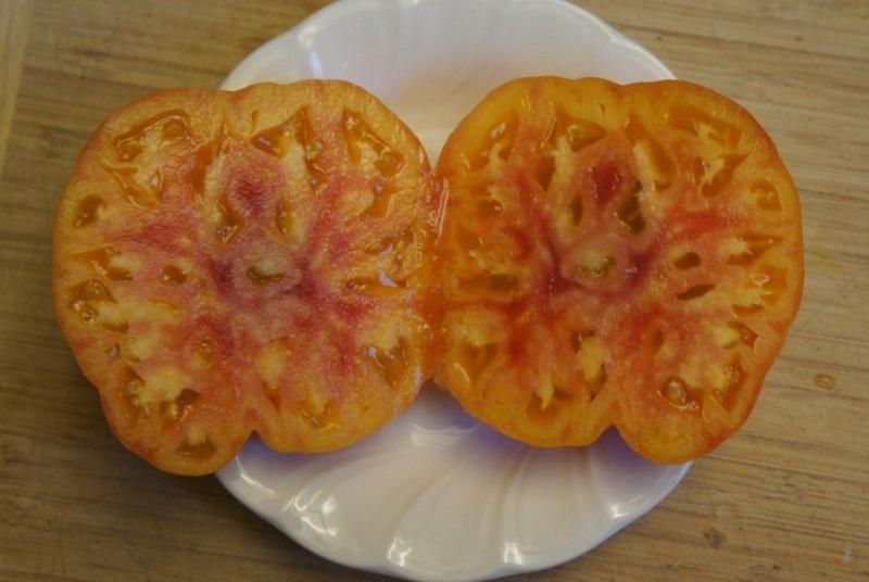 Photo of Tomato (Solanum lycopersicum 'Hillbilly Potato Leaf') uploaded by SongofJoy